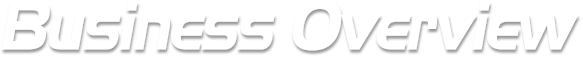 Business overview